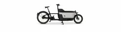 Carqon Cruise D2 2X500Wh