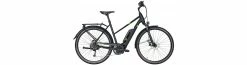 Pegasus Solero E9 Sport CX 500wh Tr