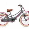 VÉLO ENFANT SUPERSUPER LOLA - FILLES - 18 POUCES - GRIS / ROSE 1 VÉLO ENFANT SUPERSUPER LOLA - FILLES - 18 POUCES - GRIS / ROSE -magasin vélo velo enfant supersuper lola filles 18 pouces gris rose 1 600x435 1