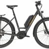 Diamant Zing Deluxe+ Wave 500W -magasin vélo zing deluxe wave 500w 22